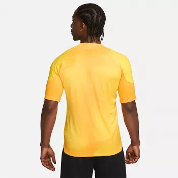 Nike Dri-FIT ADV Gardien IV maglia da portiere uomo Opti Yellow/nero M