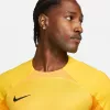 Nike Dri-FIT ADV Gardien IV maglia da portiere uomo Opti Yellow/nero M