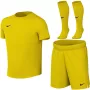 Nike Dri-FIT Park VIII set da calcio bambino giallo HV8260 719 XL