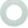 Hager WTD7173GWG cornice coprifilo in vetro, 1 posto, bianco polare