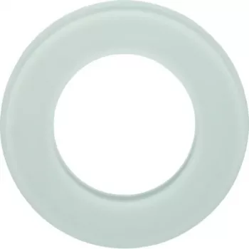Hager WTD7180GWG Placca in vetro a 1 posto, Serie Glas, Bianco polare