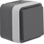 Hager WNC140 presa SCHUKO da parete con coperchio a ribalta, IP55, grigio