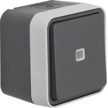Hager WNC003 deviatore con spia di controllo, da parete, IP55, grigio