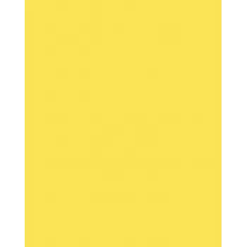 Folia 614/50 12 cartoncino giallo A4 300 g/m² 50 fogli