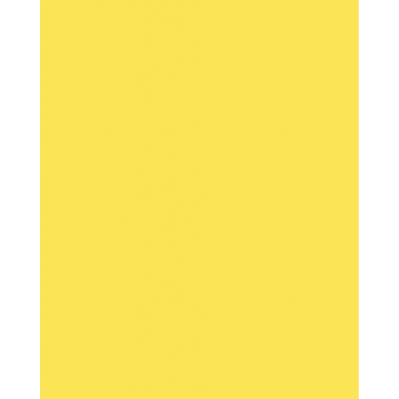 Folia 614/50 12 cartoncino giallo A4 300 g/m² 50 fogli