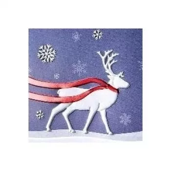 Sigel biglietto di auguri Winter's Eve lucido DIN long 105 x 210 mm, 10 biglietti con buste
