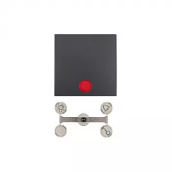Berker 1621 16 06 Placca con luce di controllo e lenti, B.1/B.3, antracite