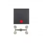 Berker 1621 16 06 Tasto a bilanciere con spia di controllo e lenti, B.1/B.3, Antracite
