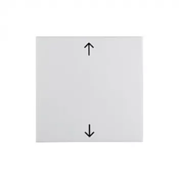 Berker 16208919 Placca con simbolo luce, bianco polare lucido