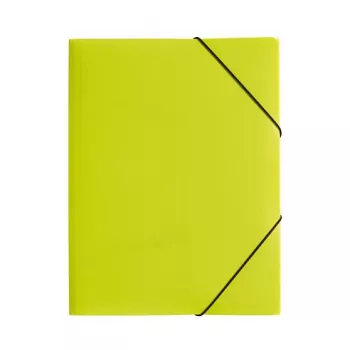 Pagna 21613-17 cartella portadocumenti A4 con elastico, polipropilene, verde