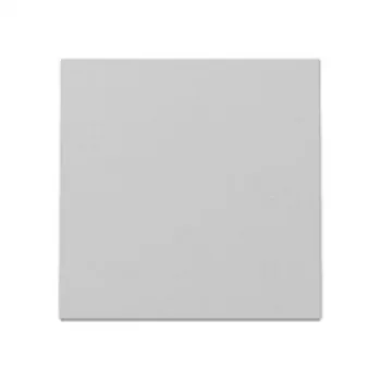 Gira System 55 tasto, grigio opaco, tasto singolo, clip-on, privo di alogeni, resistente ai raggi UV