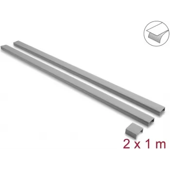 Delock canalina portacavi autoadesiva con coperchio scorrevole 30 x 14 mm, incl. connettori, 1 m, confezione da 2, grigio
