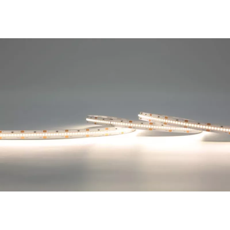 SYNERGY21 S21-LED-F02400234 striscia LED Flex 2022 - 320 WW DC24V 75W HE+HD IP20