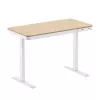 Scrivania regolabile in altezza LogiLink, motore singolo, 118x60cm, con ricarica wireless, bianca