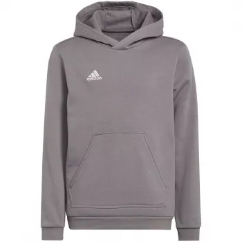 adidas Entrada 22 felpa con cappuccio grigio ragazzo 140 cm