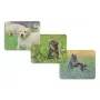 Hama Animal hub USB 2.0 4 porte con connettore USB-C, marrone/bianco design cane