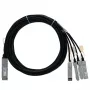 BlueOptics NetApp X66120-2 cavo in rame Direct Attach QSFP+ BlueLAN compatibile 30m