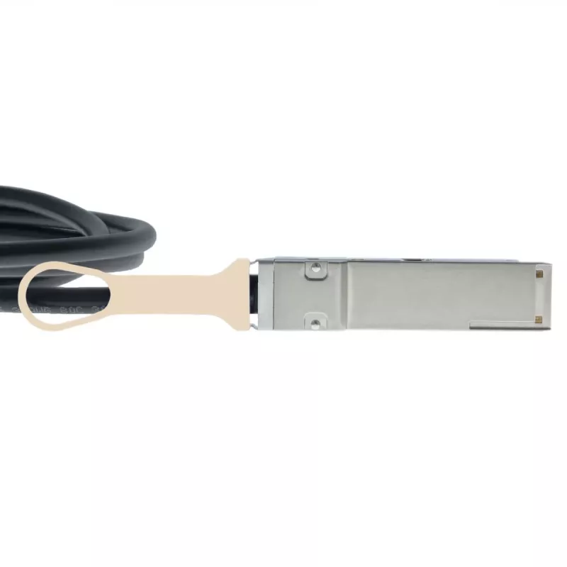 BlueOptics NetApp X66120-2 cavo in rame Direct Attach QSFP+ BlueLAN compatibile 30m