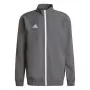 adidas Entrada 22 giacca da presentazione grigio quattro/nero XL