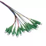 Set pigtail in fibra LogiLink 12 x LC/APC OS2 (G657.A1), 2 m, colorato, connettore verde