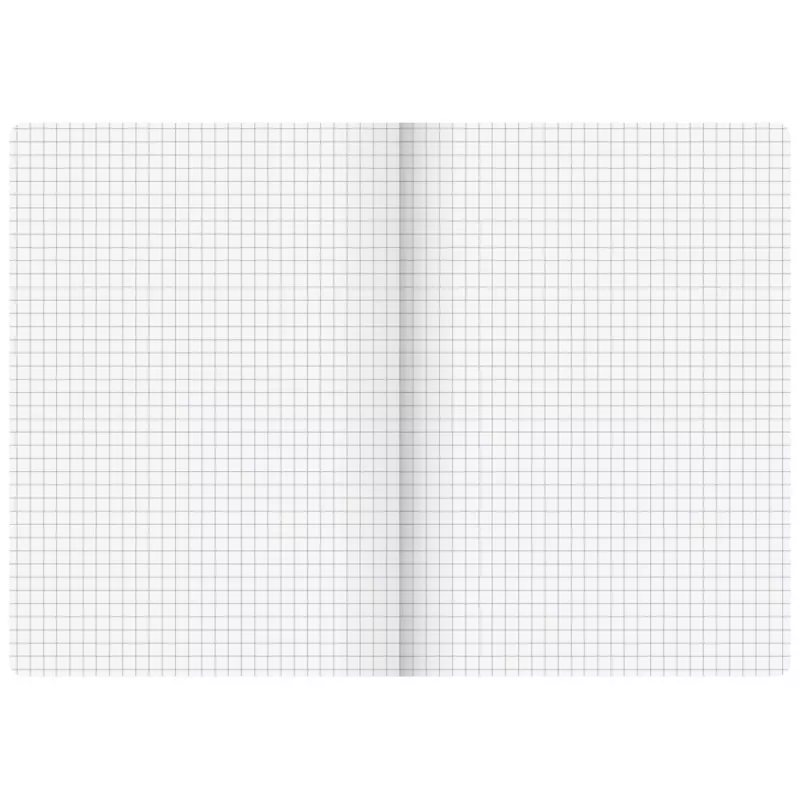 Brunnen FACT!plus quaderno A5 a quadretti 96 fogli marrone