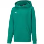PUMA teamGOAL 23 Casuals felpa con cappuccio junior verde bosco 128