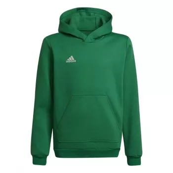 adidas Entrada 22 felpa con cappuccio bambino verde 116cm