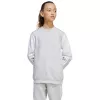 adidas Squadra 25 Sweat Crew felpa bambino grigio JD4824 152 cm