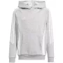 adidas Tiro 24 felpa con cappuccio junior grigio 164 cm