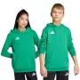 adidas Entrada 26 Felpa con cappuccio bambino verde 140 cm