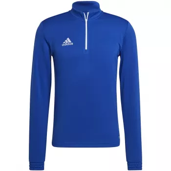 adidas Entrada 22 Felpa da allenamento uomo Team Royal Blue/bianco M
