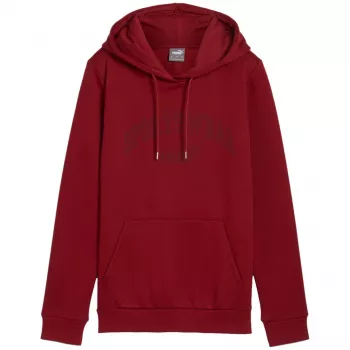 PUMA uomo Essentials+ Logo LAB felpa con cappuccio FL Bordeaux taglia L