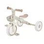 Tribike triciclo didattico 2-in-1 Plus 737-466