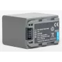 EXTRA DIGITAL batteria ricaricabile sostitutiva per Sony NP-FP90 – InfoLITHIUM serie P Li-ion 7,2V 1220mAh