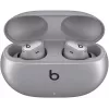 Beats Studio Buds + auricolari True Wireless con cancellazione del rumore, Cosmic Silver (MT2P3ZM/A)
