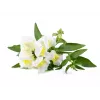 Click & Grow Smart Garden ricarica, 3 capsule per piante (SGR78X3)