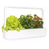 Click & Grow Smart Garden 9 orto da interno per erbe aromatiche e verdure con lampade LED per la crescita, autoirrigazione, 9 capsule di piante, bianco