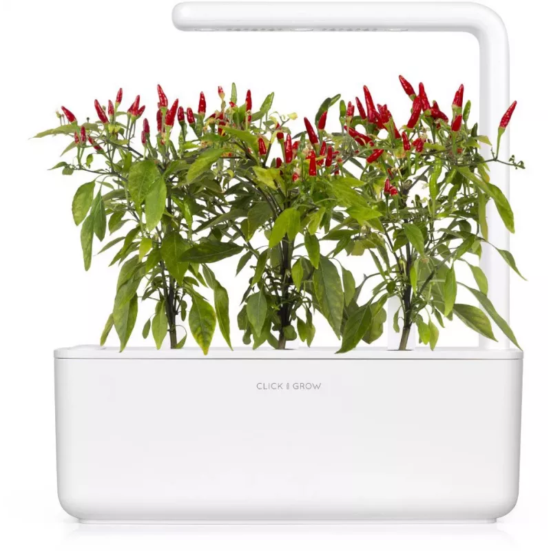 Click & Grow Piri-Piri-Chili capsule per piante per Smart Garden, confezione da 3 (SGR67X3)