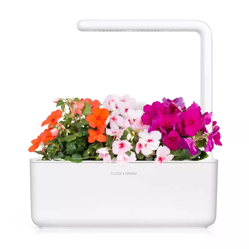 Click & Grow Smart Garden ricarica di impatiens, 3 capsule per piante (SGR1X3)