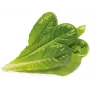 Click & Grow SGR50X3 insalata capsule per piante ricarica (confezione da 3)