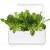 Click & Grow SGR50X3 insalata capsule per piante ricarica (confezione da 3)