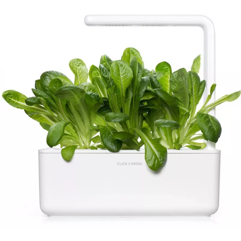 Click & Grow SGR50X3 insalata capsule per piante ricarica (confezione da 3)