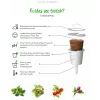 Click & Grow SGR50X3 insalata capsule per piante ricarica (confezione da 3)