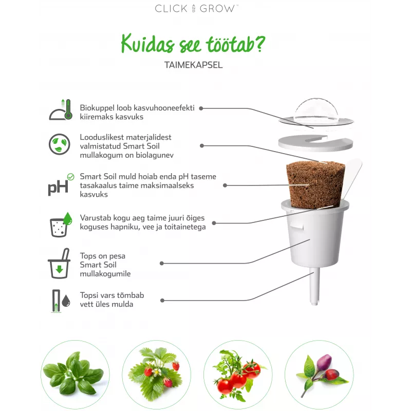 Click & Grow SGR50X3 insalata capsule per piante ricarica (confezione da 3)
