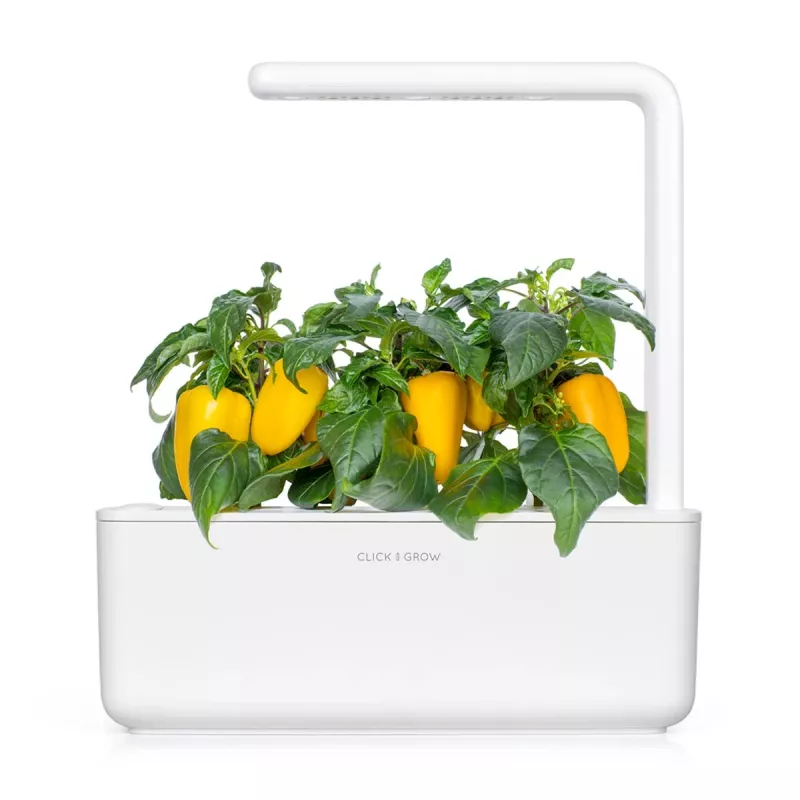 Click & Grow Smart Garden ricarica di peperone giallo, 3 capsule per piante (SGR53X3)