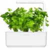 Click & Grow capsule di sedano da taglio per Smart Garden, confezione da 3 (SGR97X3)