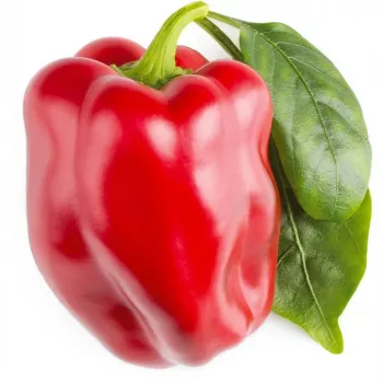Click & Grow SGR63X3 Smart Garden 3 ricarica capsule di piante (3 capsule, biodegradabili, pre-piantate, Smart Soil)