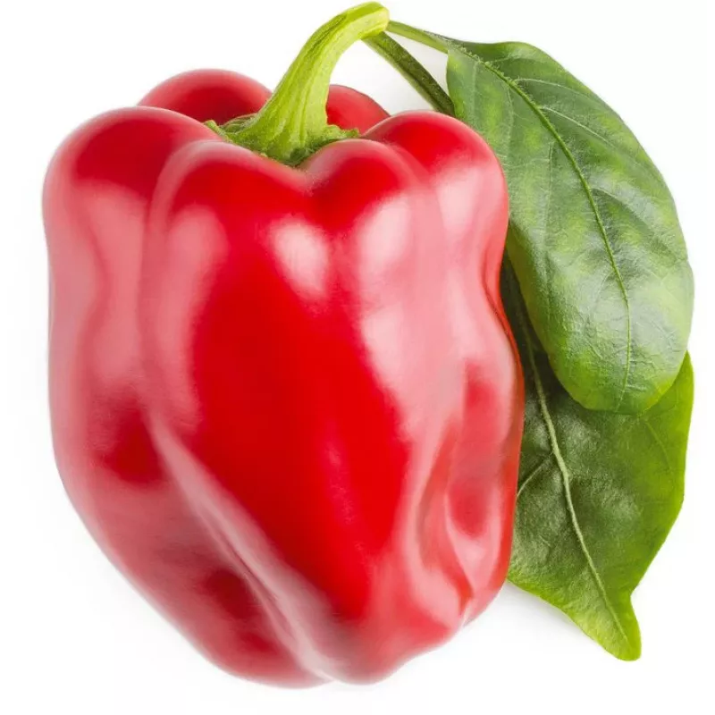 Click & Grow SGR63X3 Smart Garden 3 ricarica capsule di piante (3 capsule, biodegradabili, pre-piantate, Smart Soil)