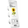 Click & Grow capsule di girasole nano per Smart Garden, confezione da 3 (SGR65X3)