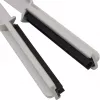 Paterson tergipellicola (PTP211)
